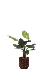 Artificial Trees