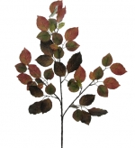 Kopyalanmış Beech Spray Artificial Leaf