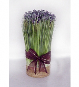 Onion Grass Lavanta 08531463313