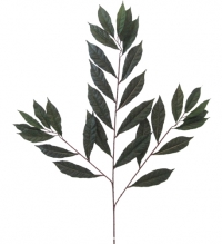 Capensia Spray Artificial Leaf