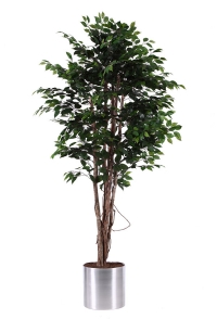 Artificial Trees