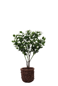 Artificial Trees