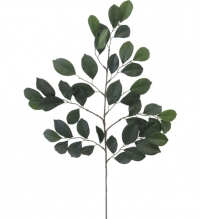 Sakaki Spray Artificial Leaf