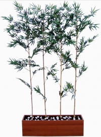 Bambu Seperat&ouml;r