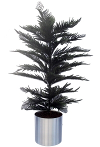 Pine Tree