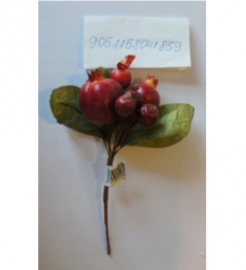 Small Pomegranate Branch